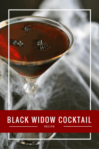 Looking for a spooky Halloween cocktail recipe that's easy to make and tastes delicious? This is it! This Black Widow Cocktail is made from just 4 simple ingredients and is perfect for sipping on a chilly fall night or for serving to a crowd for a Halloween party.